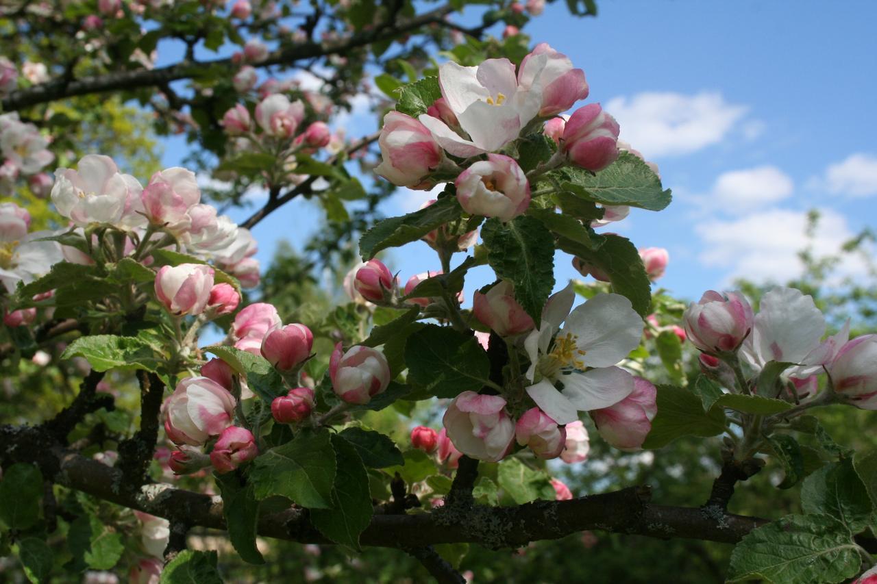 Gaestrum Gnottnehult Osterbymo ภายนอก รูปภาพ