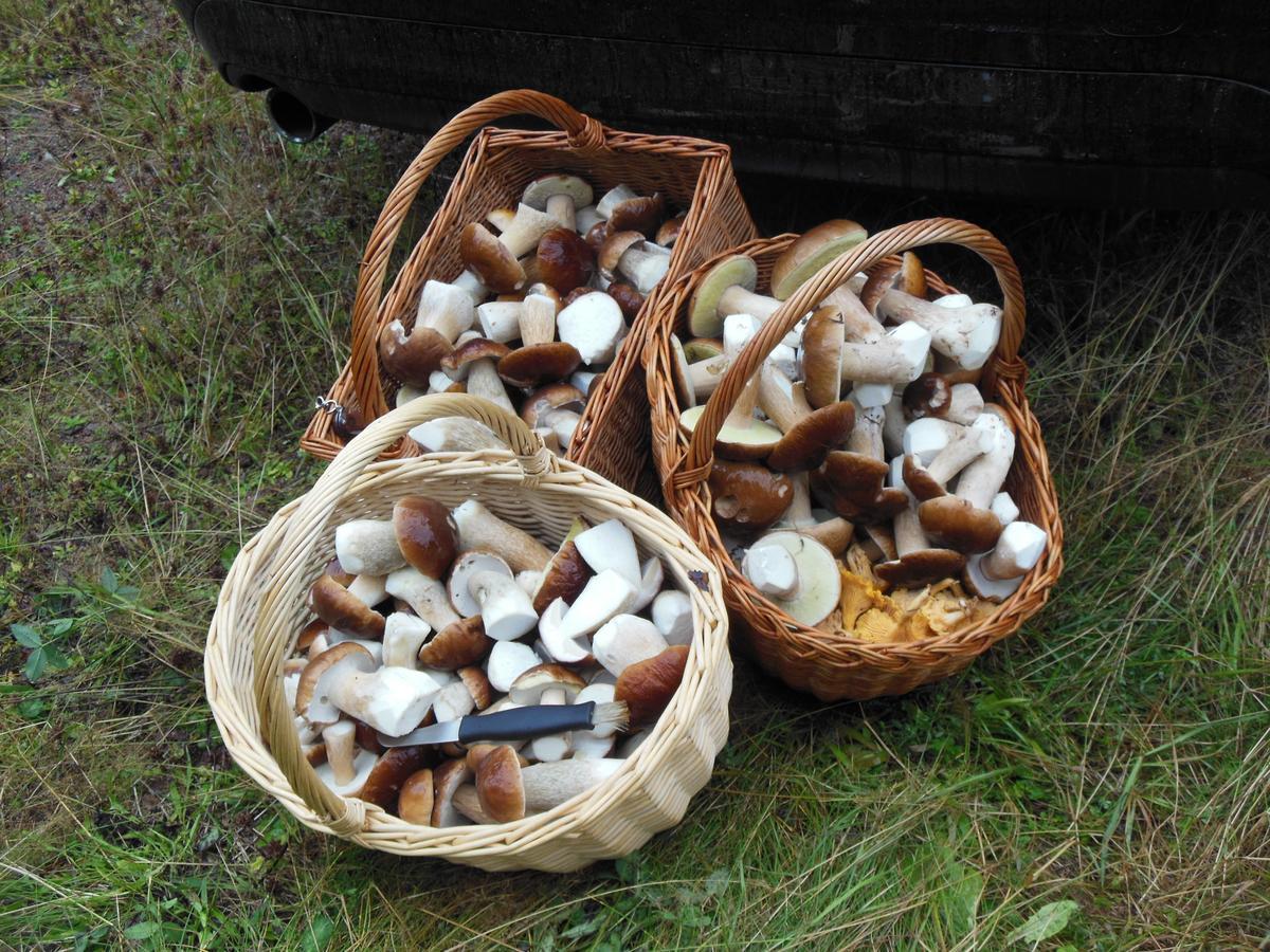 Gaestrum Gnottnehult Osterbymo ภายนอก รูปภาพ